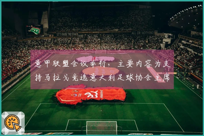 意甲联盟会议举行，主要内容为支持马拉戈竞选意大利足球协会主席