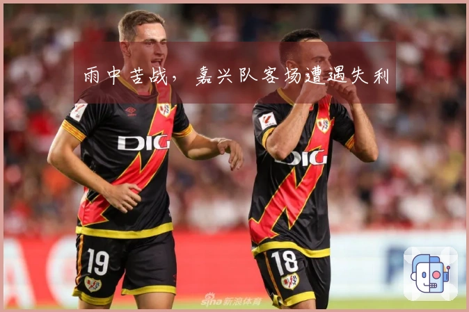 雨中苦战，嘉兴队客场遭遇失利